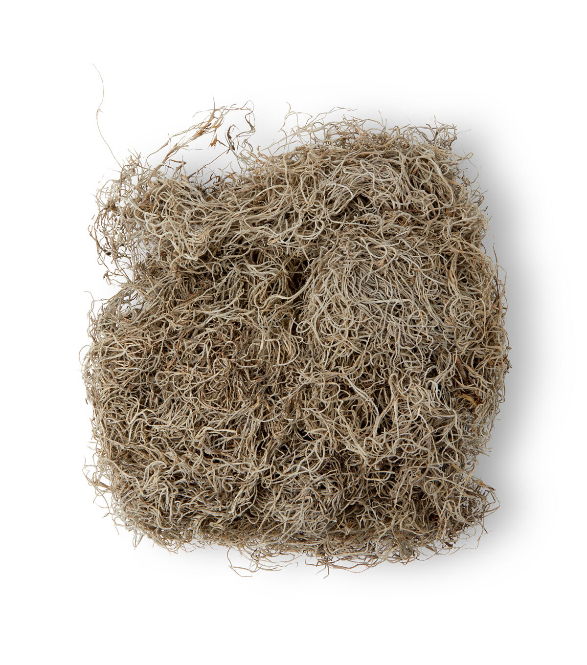 Quality Growers 80oz Natural Spanish Moss