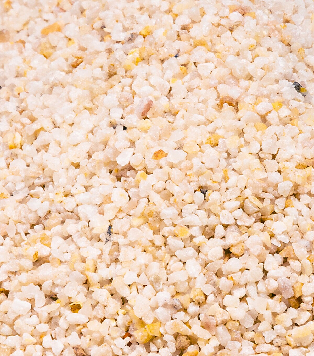 2lb Natural Decorative Bowl Fillers by Bloom Room