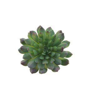 Flora Bunda 6ct Green Artificial Succulent Plants