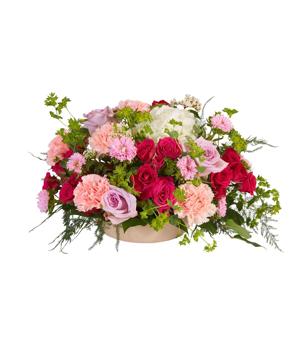 OASIS Ecossentials 9.5